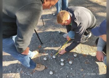 У Броварах відбувся турнір з петанку до Дня Захисників і Захисниць України