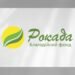 БФ «Рокада» надасть безкоштовні будматеріали та ремонт житла для ВПО